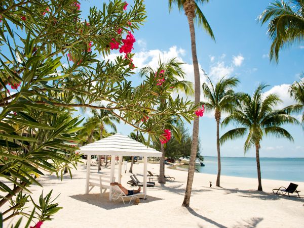 Cayman Islands Condo 959487