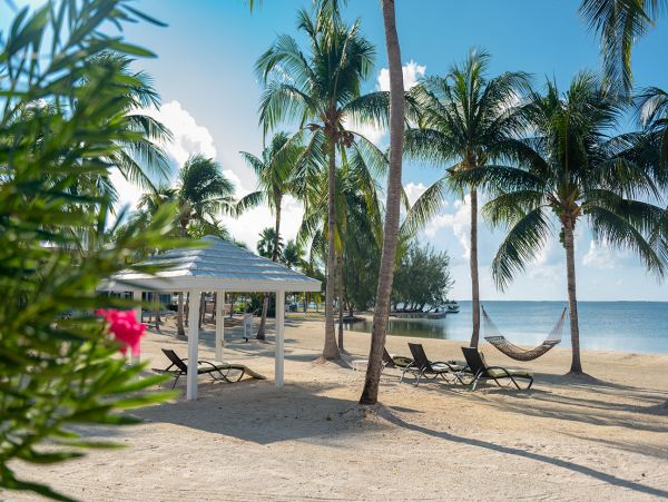 Cayman Islands Condo 959487