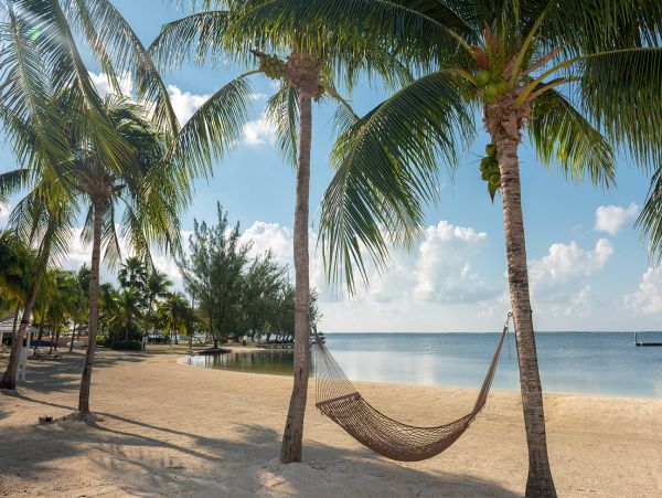 Cayman Islands Condo 959487