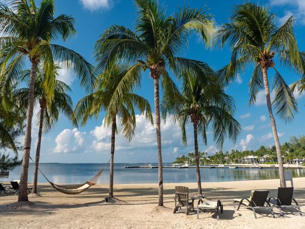 Cayman Islands Condo 959487