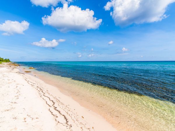 Cayman Islands Condo 959490