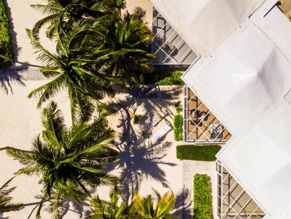 Cayman Islands Condo 959490