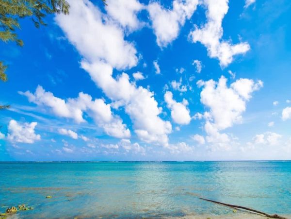 Grand Cayman Oceanfront Villa Rental - Luxury 4-Bedroom Vacation Home with Pool