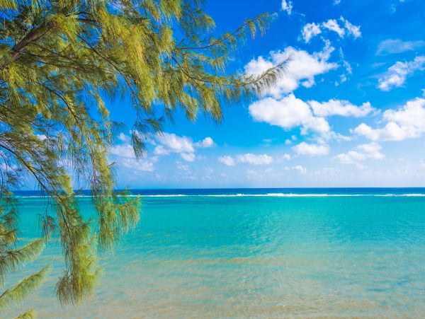 Grand Cayman Oceanfront Villa Rental - Luxury 4-Bedroom Vacation Home with Pool