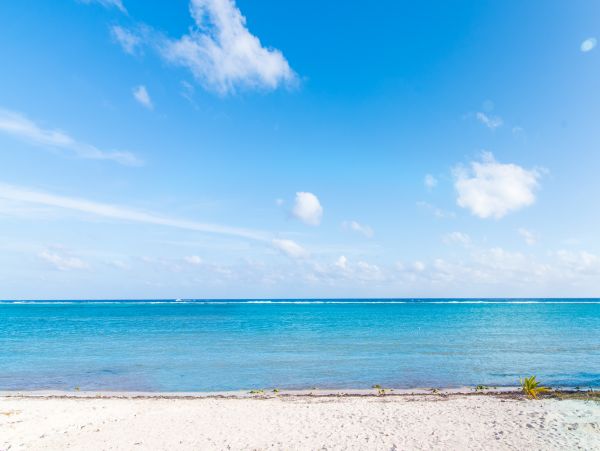 Grand Cayman Oceanfront Villa Rental - Luxury 4-Bedroom Vacation Home with Pool