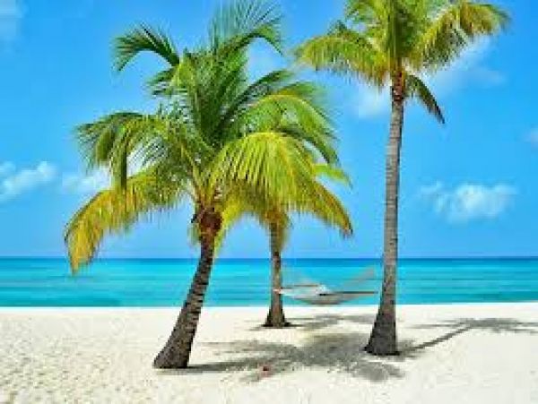 Cayman Islands Vacation Condo Three Bedroom On Beach
