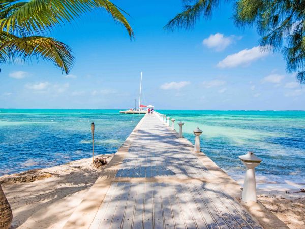 Cayman Islands Condo 959541