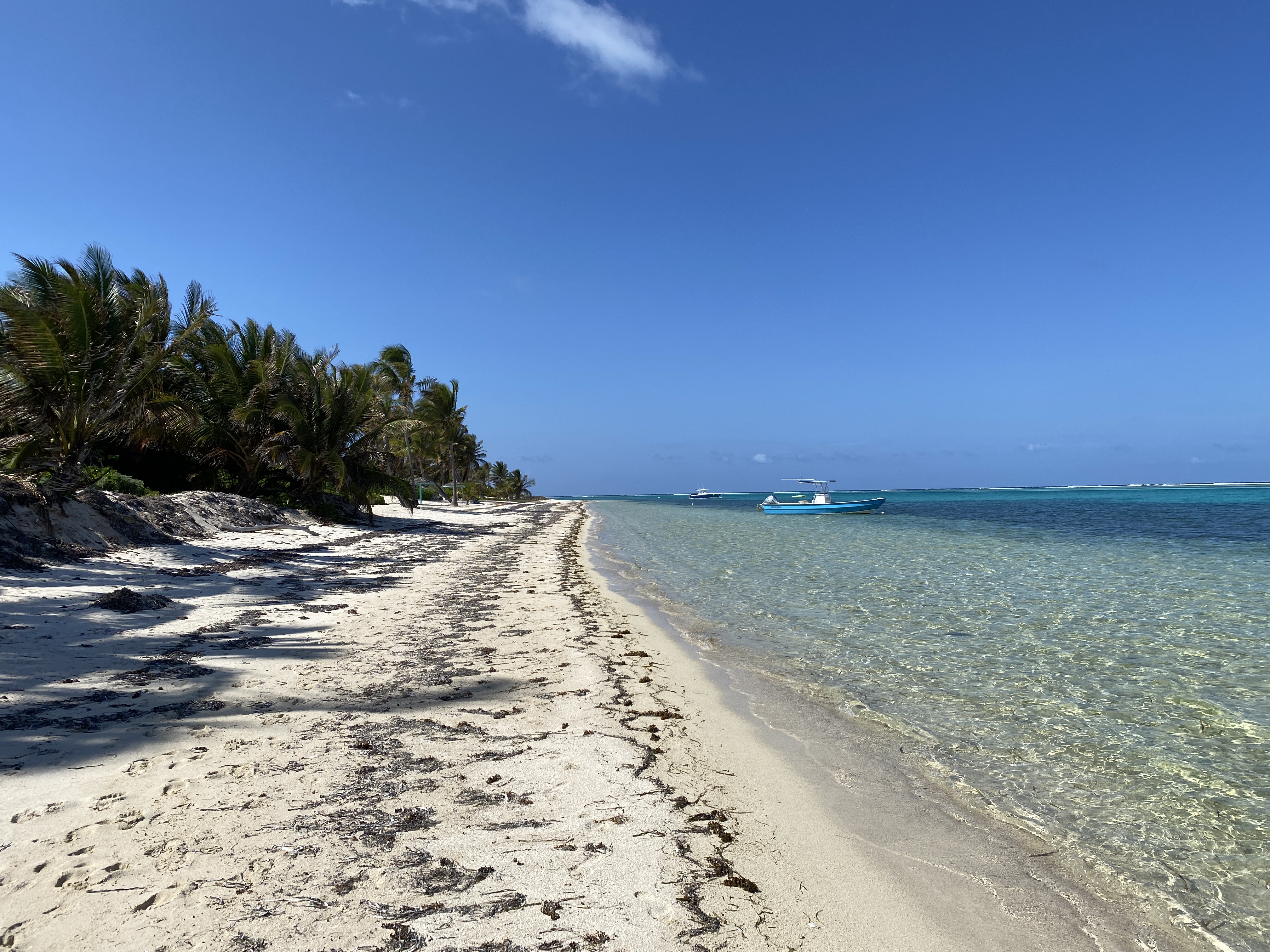Cayman Islands Condo 959543