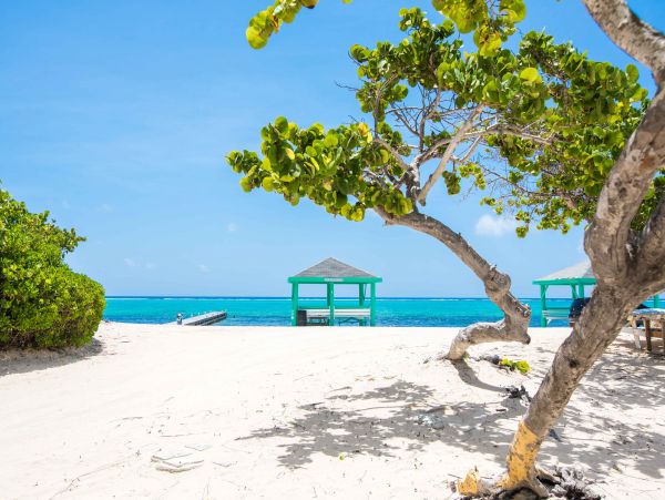 Cayman Islands Condo 959543