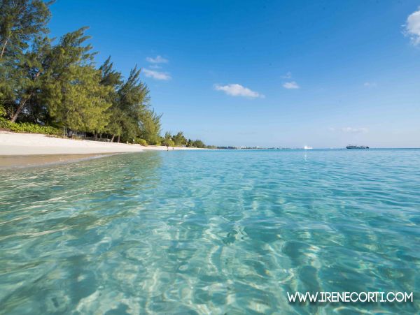 Cayman Islands Condo 959549