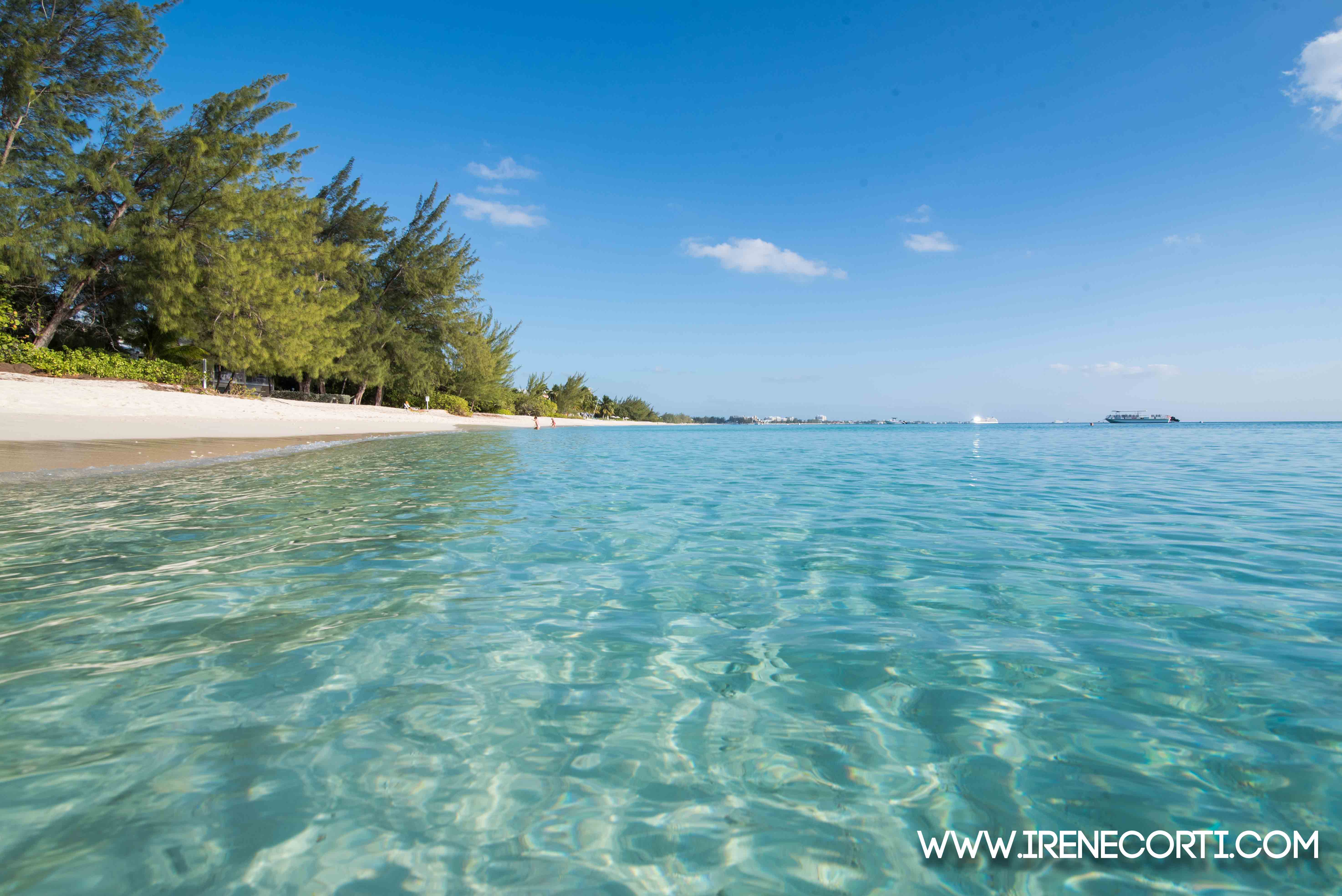 Cayman Islands Condo 959551