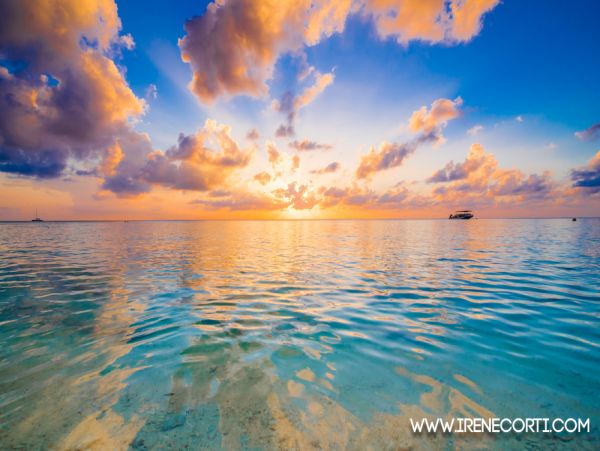 Cayman Islands Condo 959555