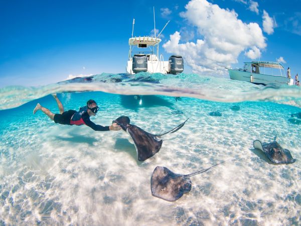 Cayman Islands Condo 959555