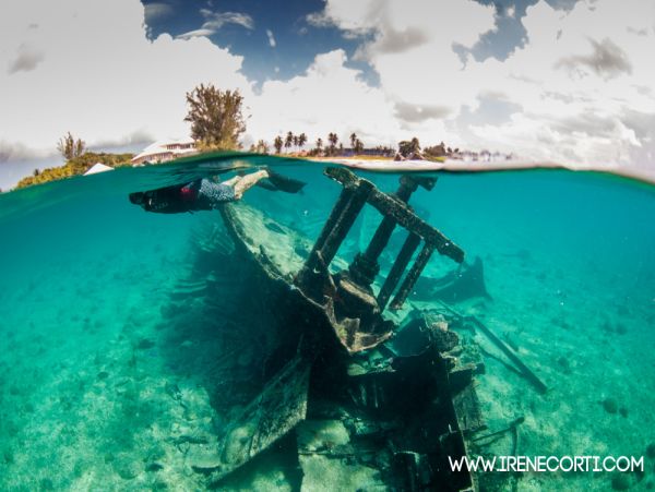 Cayman Islands Condo 959555