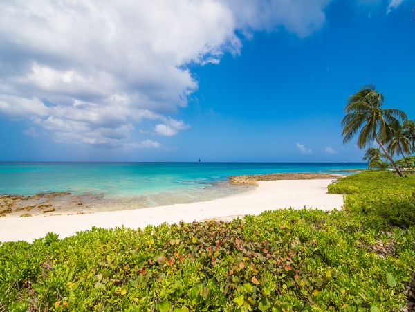 Cayman Islands Condo 959574