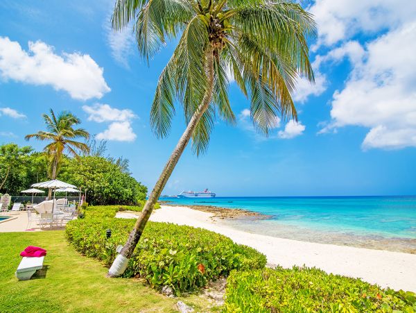 Cayman Islands Condo 959574