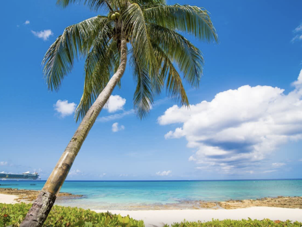 Grand Cayman Beachfront Walk Out Beach Condo 7 Mile Beach - additional view, photo 4