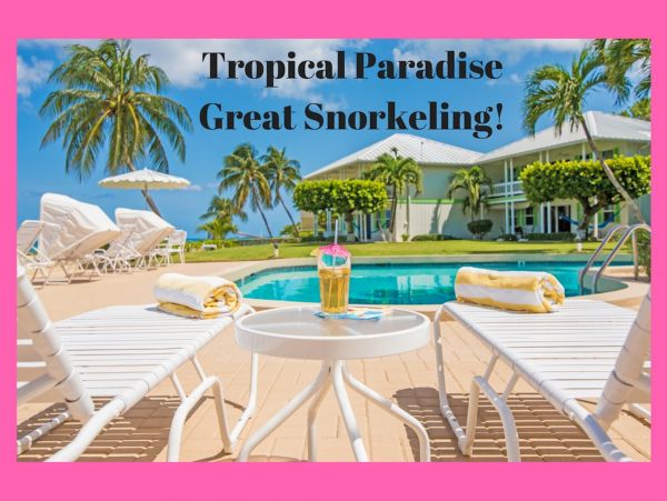 Cayman Islands Condo 959576