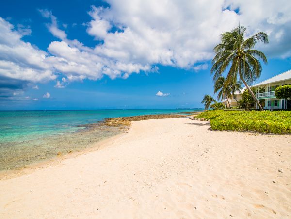 Cayman Islands Condo 959576