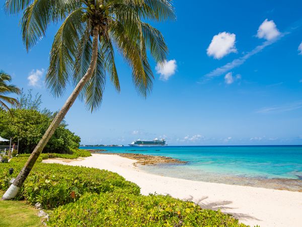 Cayman Islands Condo 959576