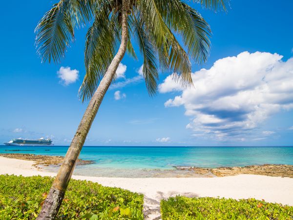 Cayman Islands Condo 959576