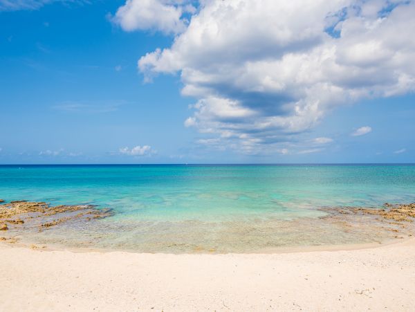 Cayman Islands Condo 959576