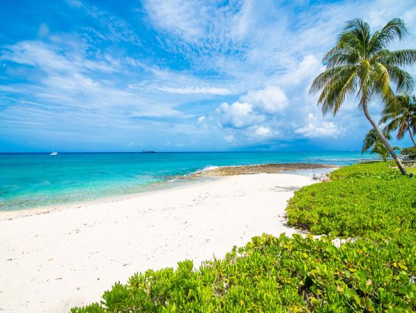 Cayman Islands Condo 959578