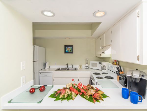 Cayman Islands Condo 959578