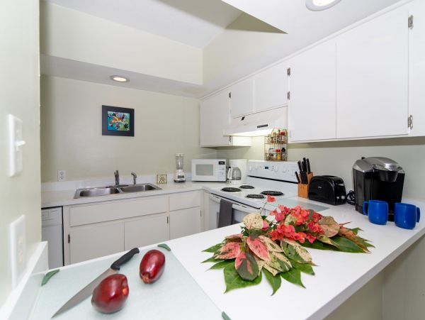 Cayman Islands Condo 959578