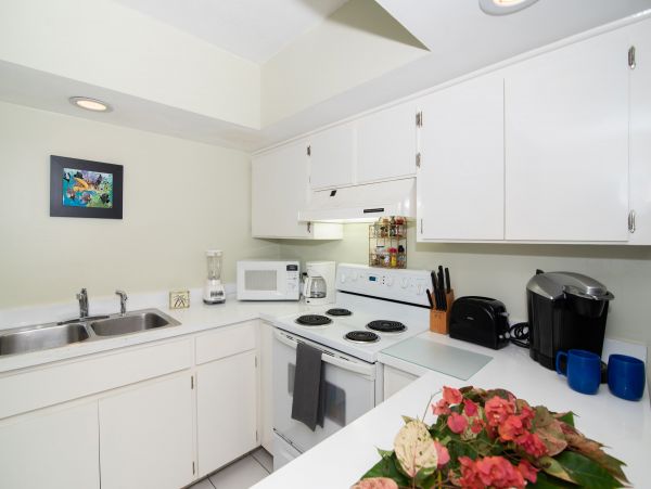 Cayman Islands Condo 959578