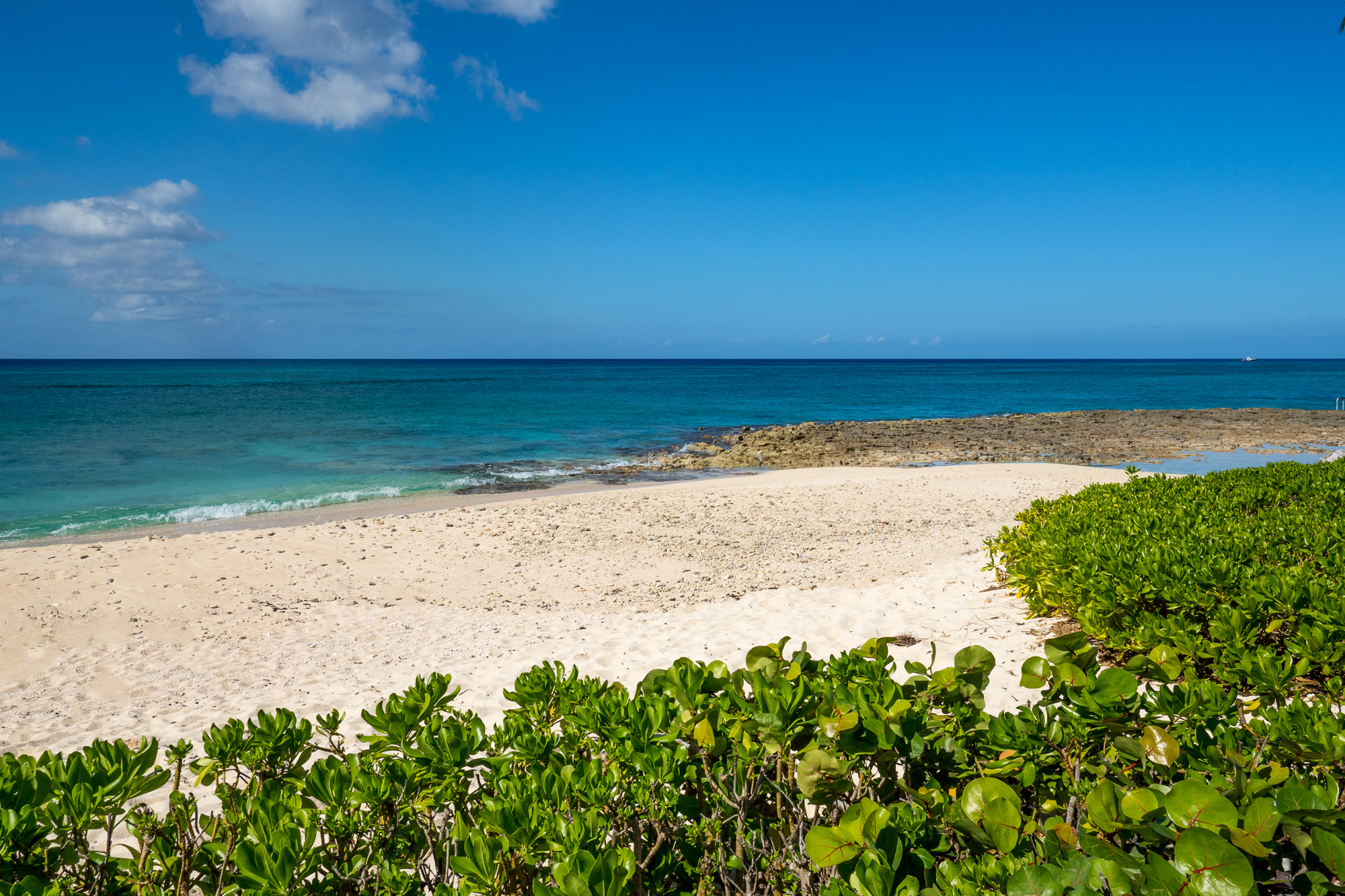 Cayman Islands Condo 959580