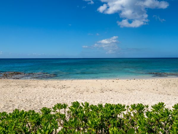 Cayman Islands Condo 959580