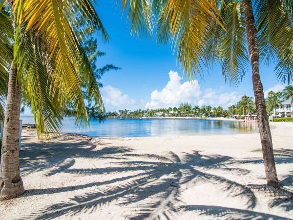 Cayman Islands Condo 959584