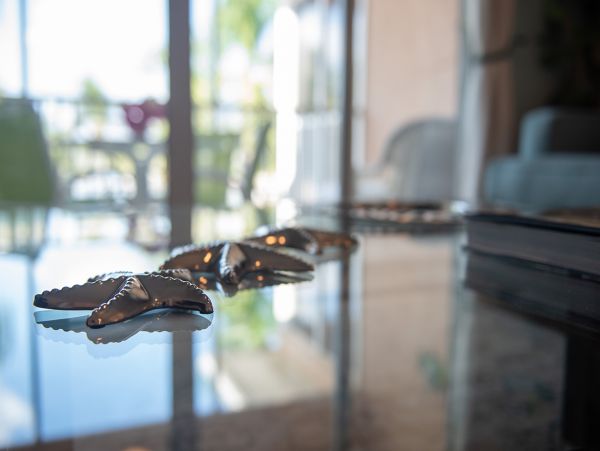 Cayman Islands Condo 959659