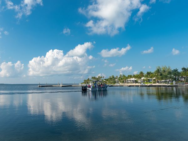 Cayman Islands Condo 959659