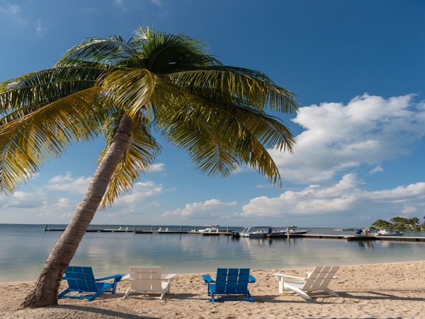 Cayman Islands Condo 959659