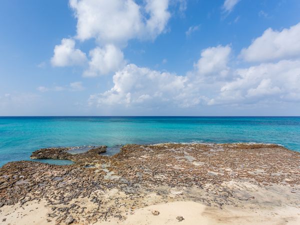 Cayman Islands Condo 959667