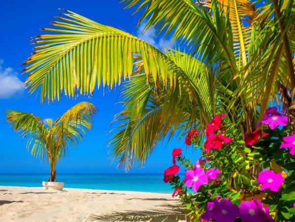Beautiful Cayman Islands Vacation Condo On Beach with Pool