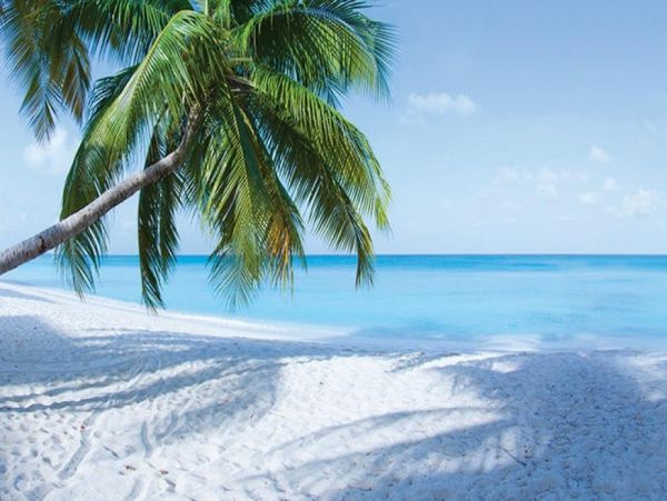 Beautiful Cayman Islands Vacation Condo On Beach with Pool