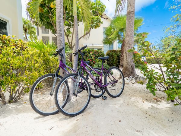 Cayman Islands Condo 959670