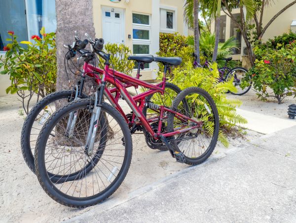 Cayman Islands Condo 959670
