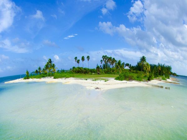 Cayman Kai Beachfront Condo Rental  Luxury Caribbean Vacation Property