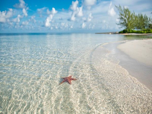 Cayman Kai Beachfront Condo Rental  Luxury Caribbean Vacation Property