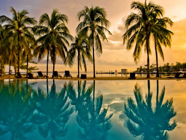 Cayman Kai Beachfront Condo Rental  Luxury Caribbean Vacation Property