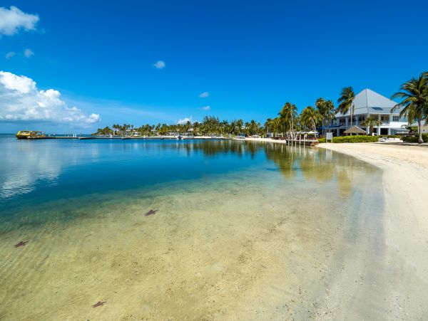 Cayman Kai Beachfront Condo Rental  Luxury Caribbean Vacation Property