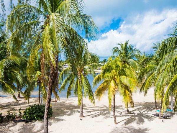 Cayman Islands Condo 959674