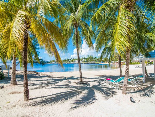 Cayman Islands Condo 959674