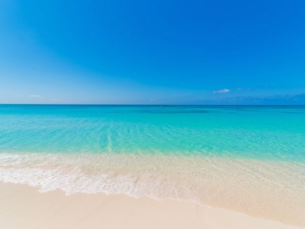 Cayman Islands Condo 959703