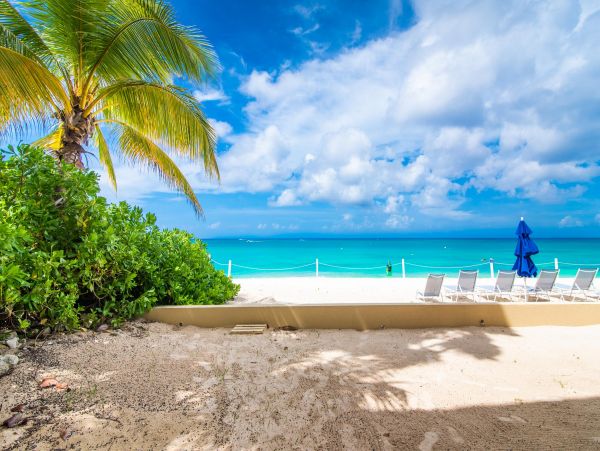 Cayman Islands Condo 959704