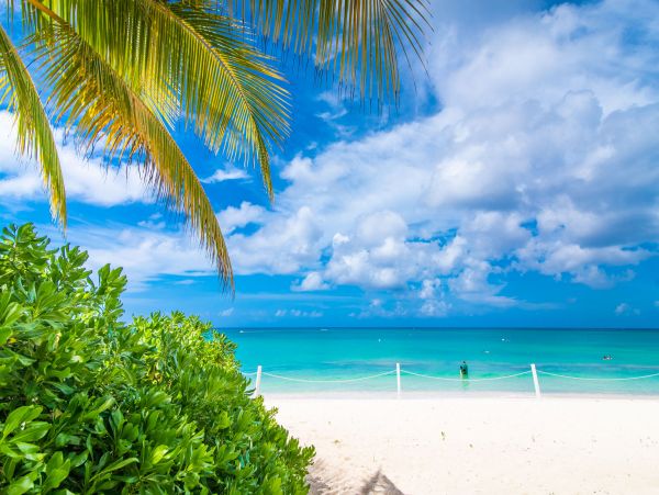 Cayman Islands Condo 959704